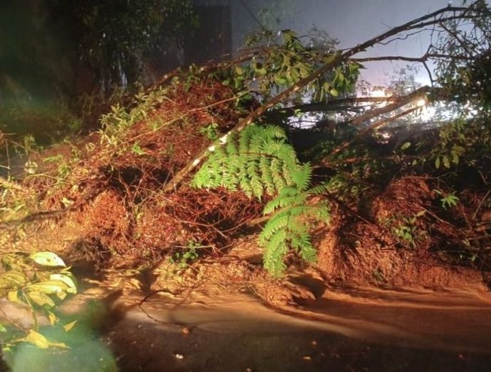 Rodovias Interditadas e Alagamentos no Litoral Norte de São Paulo