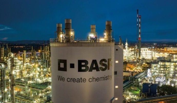 Desempenho do Segmento Agro da BASF em 2025: Crescimento em Meio a Desafios