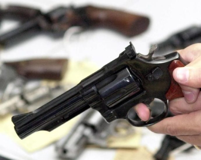 Senado Avança na Facilitação do Acesso a Armas de Fogo