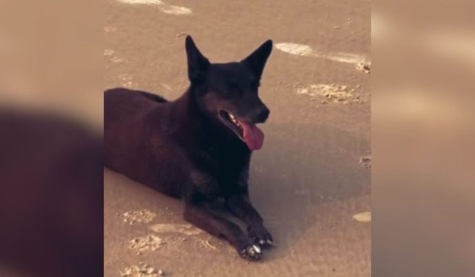 APREENSÃO DE PASSAPORTE: GARANTIA DE JUSTIÇA APREENSÃO DE PASSAPORTE: GARANTIA DE JUSTIÇA