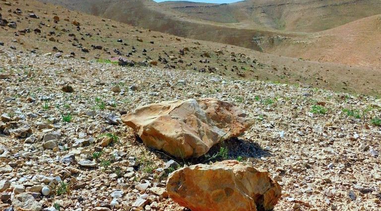 QUARESMA: BENEFÍCIOS ESPIRITUAIS E TRANSFORMAÇÃO PESSOAL