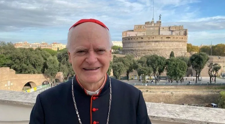 Celebração do Jubileu Franciscano em São Paulo: Uma Oportunidade de Reflexão e Aprendizado