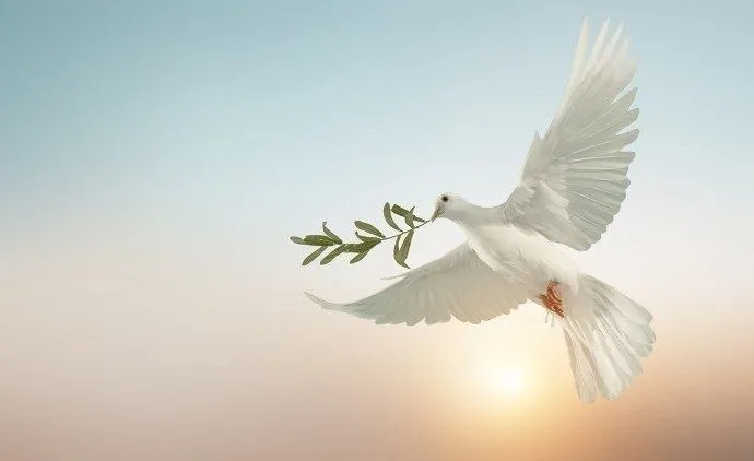 CANÇÃO E A PRECE: O PODER DA MÚSICA PARA A PAZ