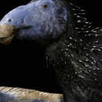 Nova Espécie de Dinossauro com Espinhos Ocos é Descoberta na China