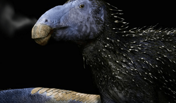 Nova Espécie de Dinossauro com Espinhos Ocos é Descoberta na China