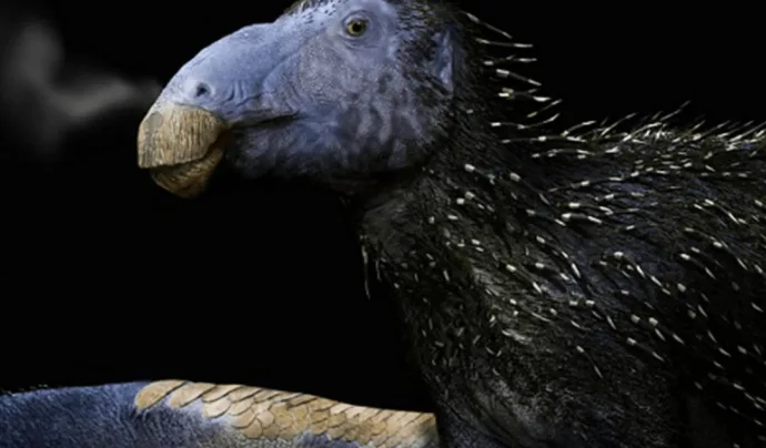 Nova Espécie de Dinossauro com Espinhos Ocos é Descoberta na China