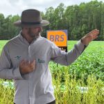 Embrapa Lança Novas Variedades de Soja com Alto Potencial Produtivo