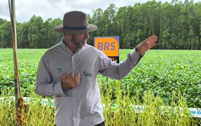 Embrapa Lança Novas Variedades de Soja com Alto Potencial Produtivo