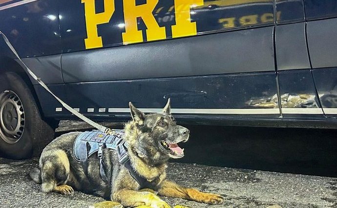 PRF: APELAÇÕES E APREENSÕES NO PAÍS EM 24 HORAS PRF: APELAÇÕES E APREENSÕES NO PAÍS EM 24 HORAS