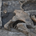 FERRAMENTA DE MADEIRA: ACHADO HISTÓRICO NA GRÉCIA