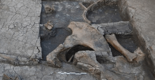 FERRAMENTA DE MADEIRA: ACHADO HISTÓRICO NA GRÉCIA