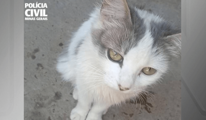 MAUS-TRATOS A ANIMAIS: HOMENS SÃO INDICIADOS EM MG MAUS-TRATOS A ANIMAIS: HOMENS SÃO INDICIADOS EM MG