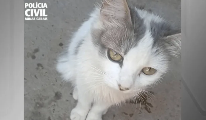 MAUS-TRATOS A ANIMAIS: HOMENS SÃO INDICIADOS EM MG MAUS-TRATOS A ANIMAIS: HOMENS SÃO INDICIADOS EM MG