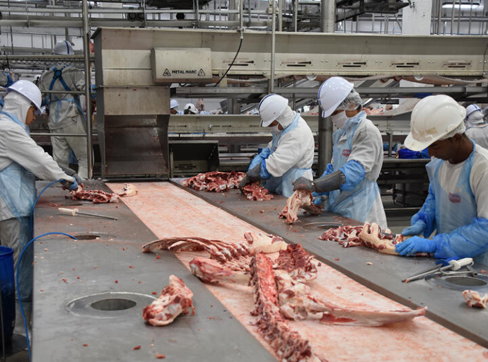 INDÚSTRIA EM MS: GERAÇÃO DE EMPREGOS EM 2025