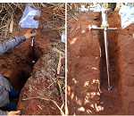 CARBONO DO SOLO: ANÁLISE REVELA PERDAS NO BRASIL