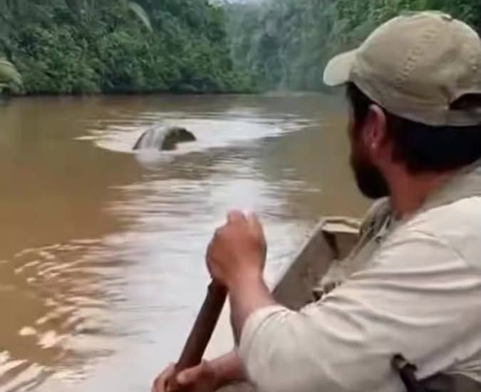 PINTEREST: DESCUBRA INCRÍVEIS BENEFÍCIOS PRA VOCÊ