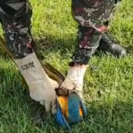 Resgate de Arara-Canindé em Campo Grande: Ação da Polícia Militar Ambiental