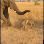 Descubra as Principais Fontes de Informação e Dicas do Brasil