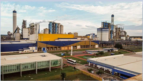 Suzano e Galp Firmam Parceria para Abastecimento de Gás Natural em Três Lagoas