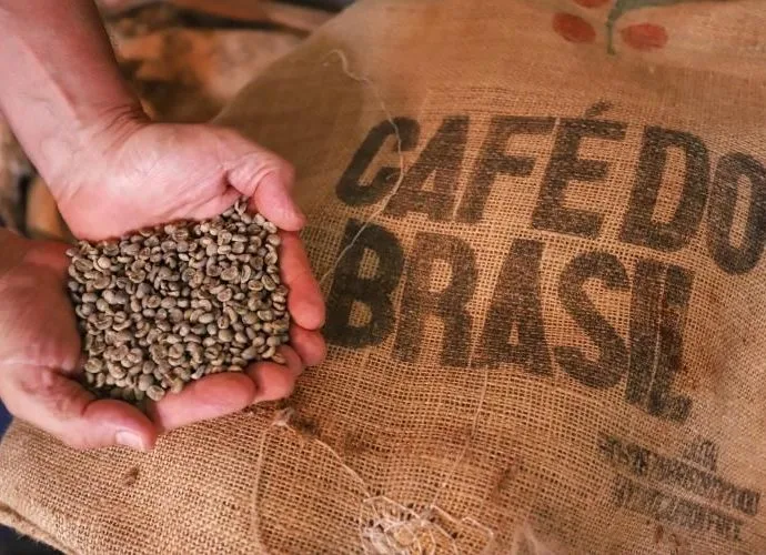 Café enfrenta sétima queda consecutiva de preços em janeiro, segundo Apas