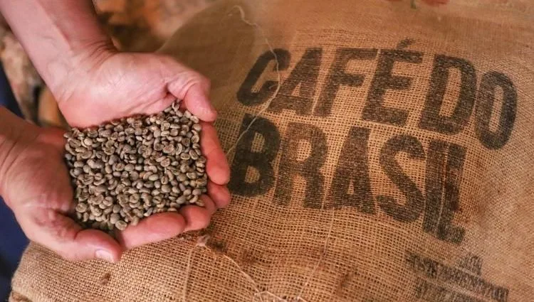 Café enfrenta sétima queda consecutiva de preços em janeiro, segundo Apas