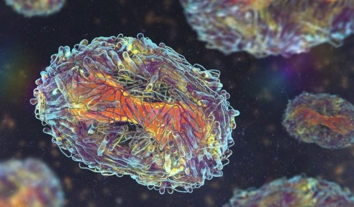 Governo do Rio de Janeiro Confirma 11 Casos de Mpox em 2026 Governo do Rio de Janeiro Confirma 11 Casos de Mpox em 2026