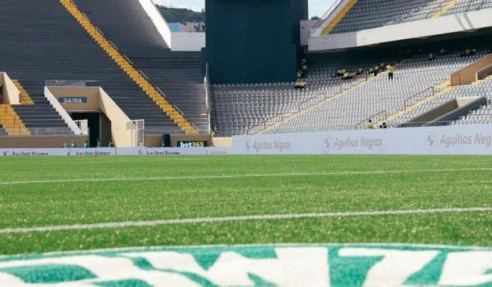 Palmeiras e Fluminense: Disputa Acirrada pela Liderança do Brasileiro