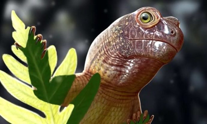 FÓSSIL DE PARARRÉPTIL REVELA SEGREDOS DO ECOSSISTEMA