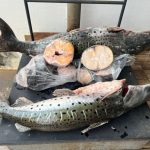 Operação de Fiscalização de Estoque de Pescado em Coxim