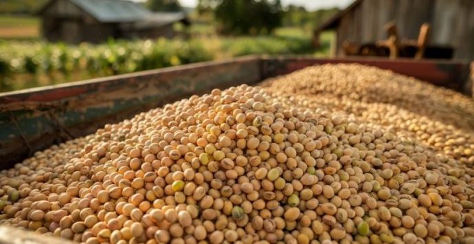 PERDAS PÓS-COLEITA E SUAS IMPLICAÇÕES NO AGRONEGÓCIO