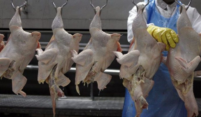 SEARA EXPANDE OPERAÇÕES COM AQUISIÇÃO DE GRANJAS