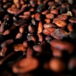 Cacau Atinge Níveis Mínimos em Três Anos com Queda na Demanda Global