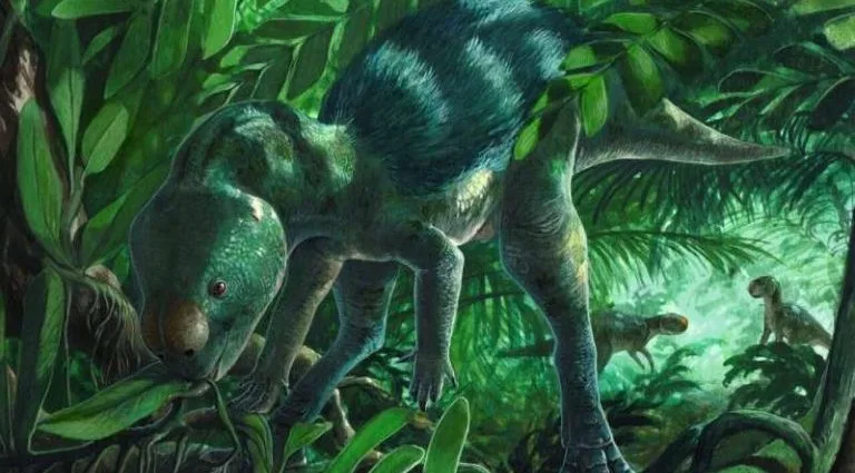 FOSKEIA PELENDONUM: A NOVA ESPÉCIE QUE REVOLUCIONA A EVOLUÇÃO