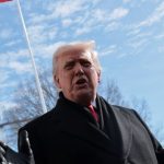 Suprema Corte dos EUA Anula Tarifas de Trump: Análise e Implicações