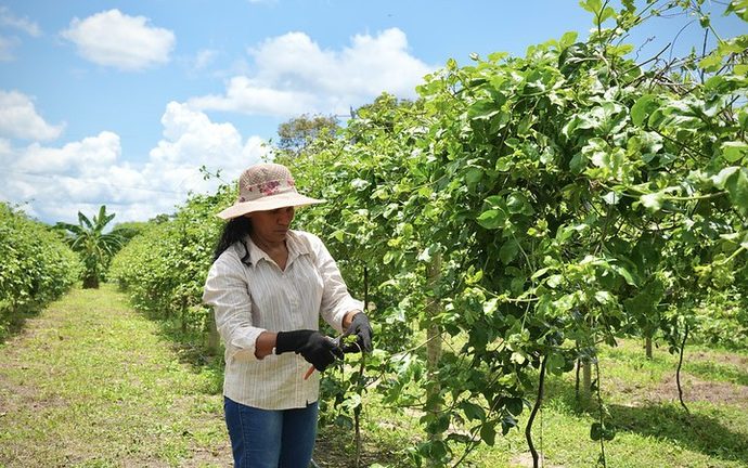 Empoderamento Feminino no Campo: A Transformação Através da Agricultura Irrigada