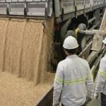 Aumento de 15% na Produtividade de Terminal Portuário Através de Metodologias de Eficiência