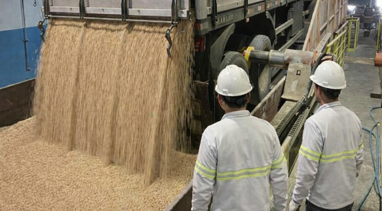 Aumento de 15% na Produtividade de Terminal Portuário Através de Metodologias de Eficiência