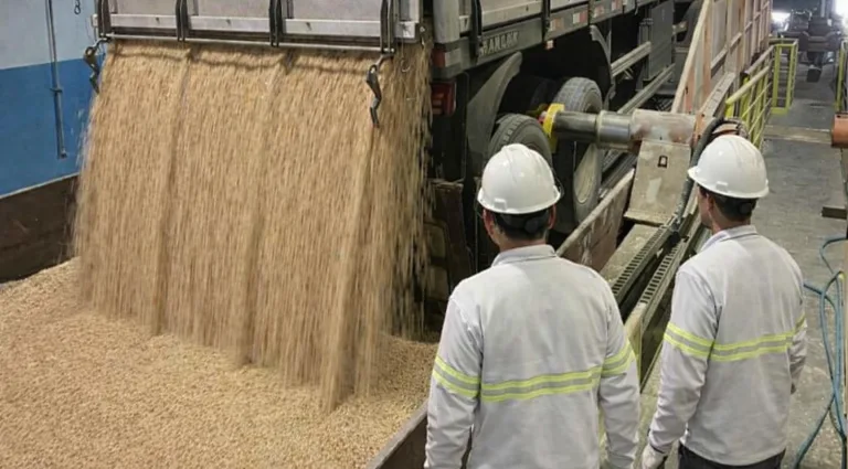 Aumento de 15% na Produtividade de Terminal Portuário Através de Metodologias de Eficiência
