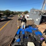 PRF Desmantela Tráfico com Apreensão de 2,8 Toneladas de Maconha e Armas na BR-163