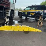 Ações da PRF no Combate ao Crime Organizado e ao Narcotráfico