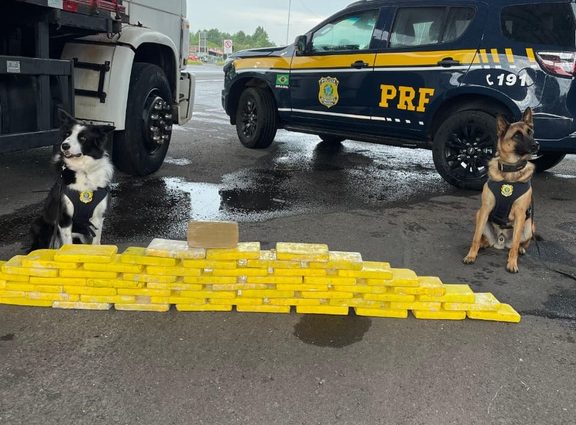 Ações da PRF no Combate ao Crime Organizado e ao Narcotráfico