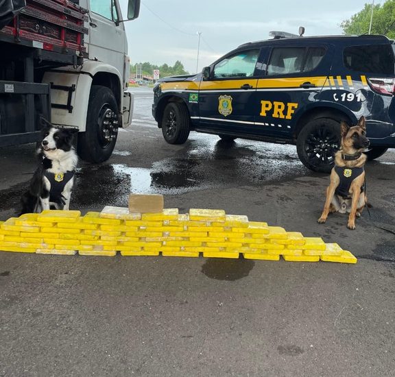 Ações da PRF no Combate ao Crime Organizado e ao Narcotráfico Ações da PRF no Combate ao Crime Organizado e ao Narcotráfico