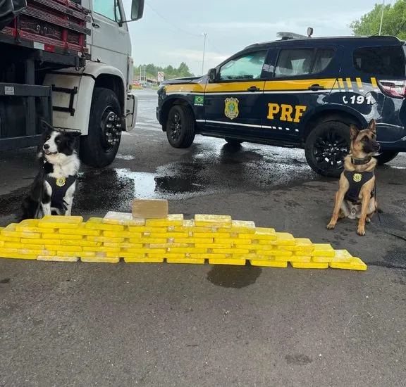 Ações da PRF no Combate ao Crime Organizado e ao Narcotráfico