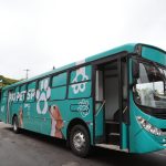 PRO PET SP CONFIRMA MUTIRÕES DE CASTRAÇÃO EM CASTILHO E REGIÃO