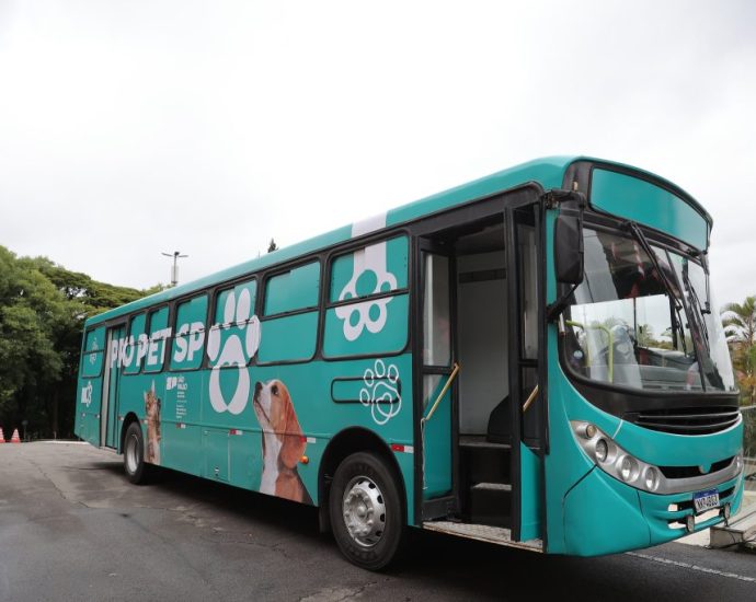 PRO PET SP CONFIRMA MUTIRÕES DE CASTRAÇÃO EM CASTILHO E REGIÃO PRO PET SP CONFIRMA MUTIRÕES DE CASTRAÇÃO EM CASTILHO E REGIÃO