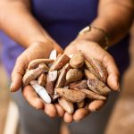 Suzano: Impacto Social e Combate à Pobreza em Regiões Vulneráveis