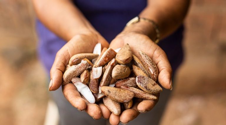 Suzano: Impacto Social e Combate à Pobreza em Regiões Vulneráveis Suzano: Impacto Social e Combate à Pobreza em Regiões Vulneráveis