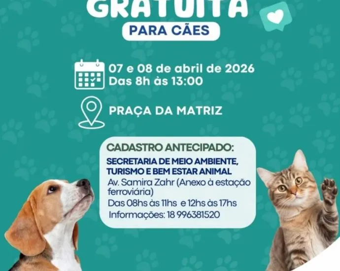 Início do Mutirão de Castrações e Microchipagem em Ilha Solteira