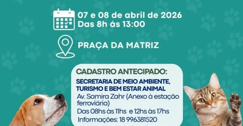 Início do Mutirão de Castrações e Microchipagem em Ilha Solteira
