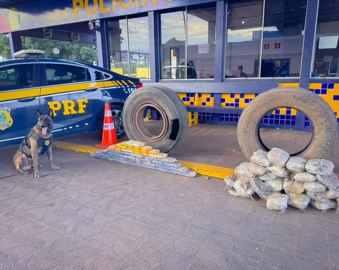 Ações Recentes da PRF em Todo o País: Segurança e Combate ao Crime